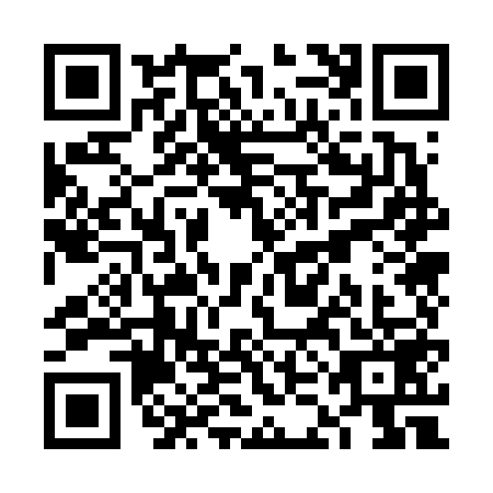 QR code for VKO-6595
