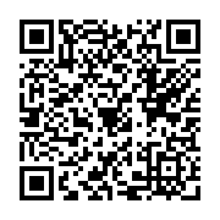 QR code for plate VKO-3397