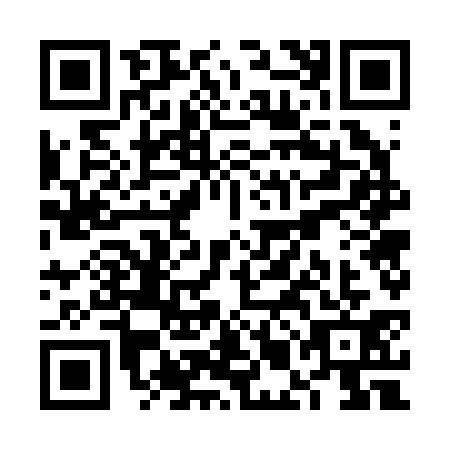 QR code for plate VMG-2313