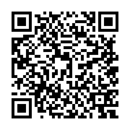 QR code for VNG8739