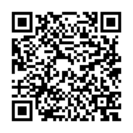QR code for plate VNK-9333