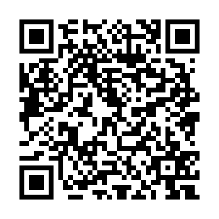 QR code for plate VNX-6378