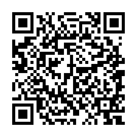 QR code for plate VQD-3913