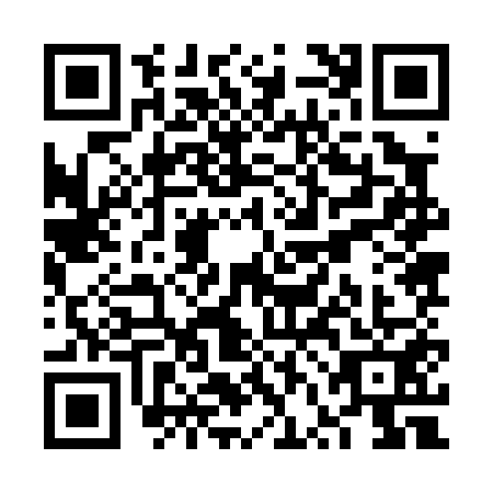 QR code for plate VVJ-0513