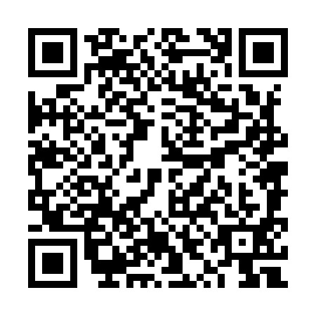 QR code for VYN-9913