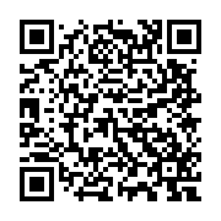 QR code for W01517