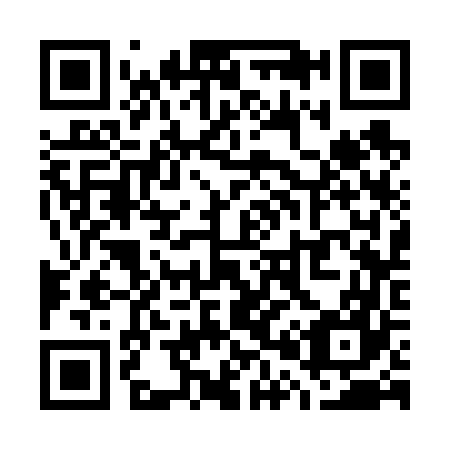 QR code for W03667