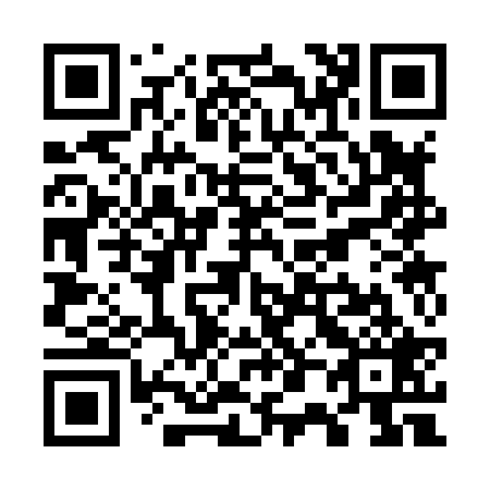 QR code for W03829