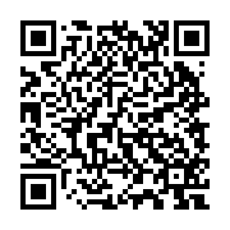 QR code for W04216