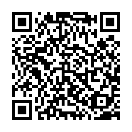 QR code for W04599