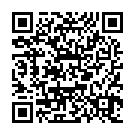 QR code for W04924