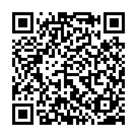 QR code for W05223