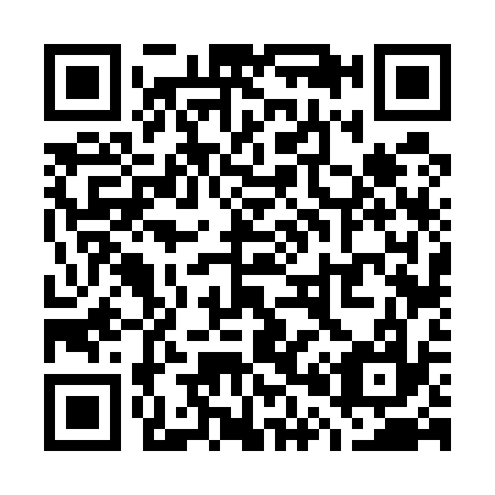 QR code for W06537