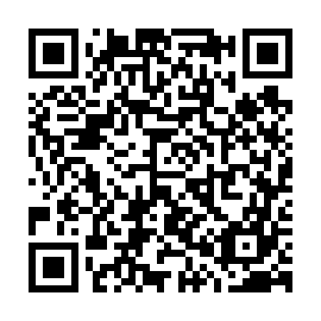 QR code for W07667
