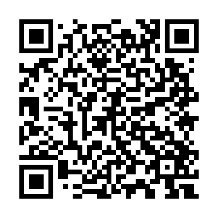 QR code for W09746