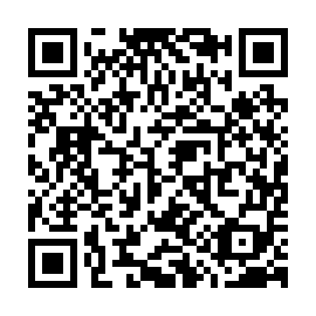 QR code for W11259