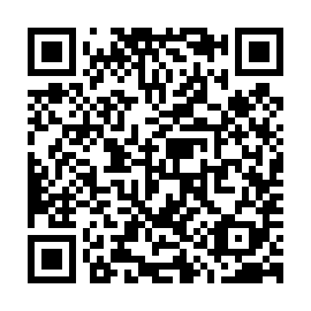 QR code for W13489