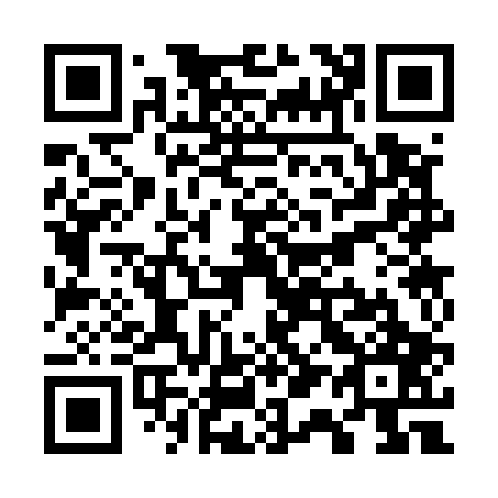 QR code for W13507