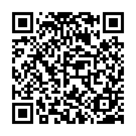 QR code for W17202