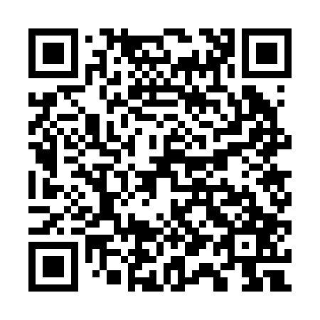QR code for W17207