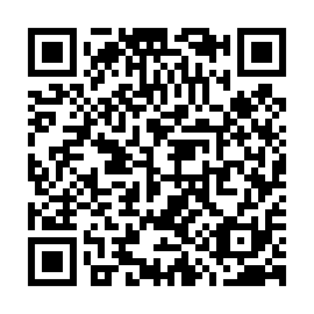 QR code for W17411