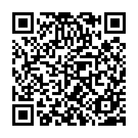 QR code for W17507