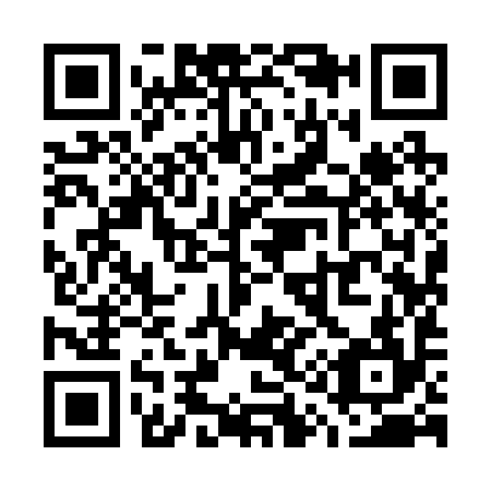 QR code for W19294