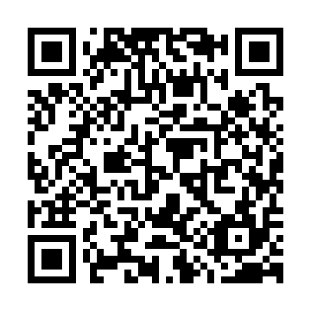 QR code for W19314