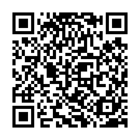 QR code for W19620