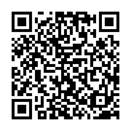 QR code for W20333