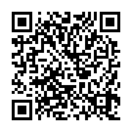 QR code for W20338