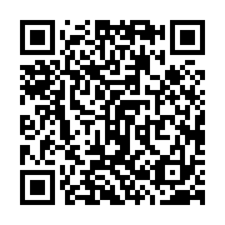 QR code for W20833