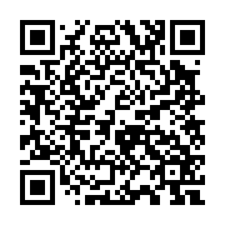 QR code for W22066