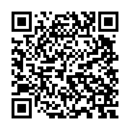 QR code for W22446