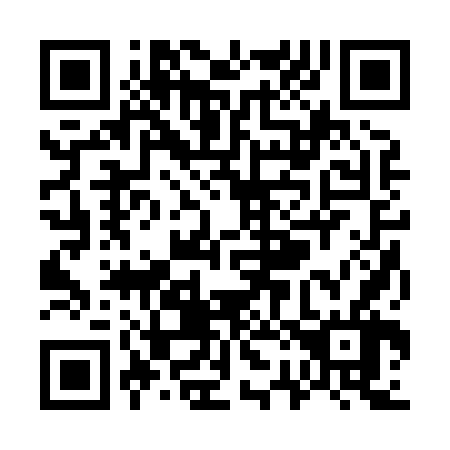 QR code for W22866