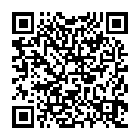 QR code for W22903