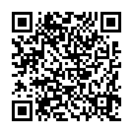 QR code for W28687