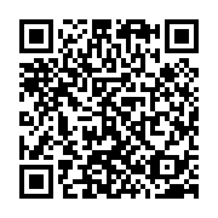 QR code for W29039