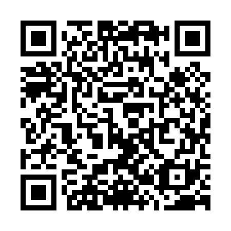 QR code for W29071