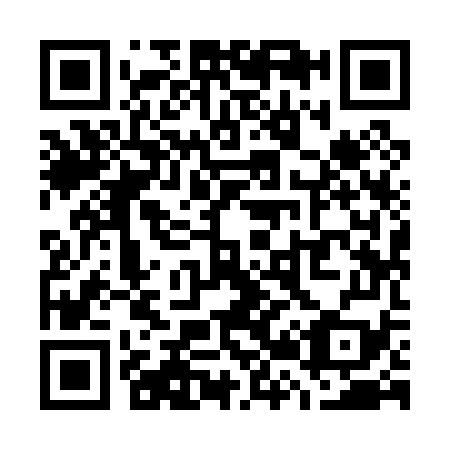 QR code for W29079