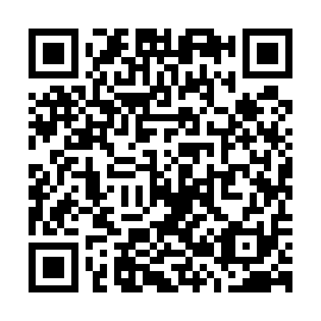 QR code for W29511