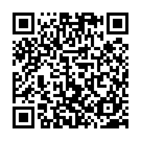 QR code for W29527