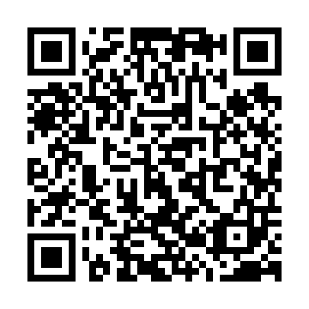 QR code for W29603