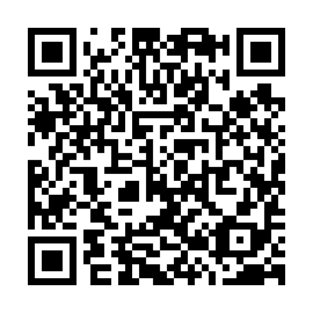 QR code for W29698