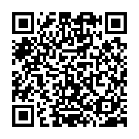 QR code for W29721