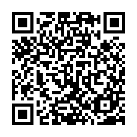 QR code for W29807