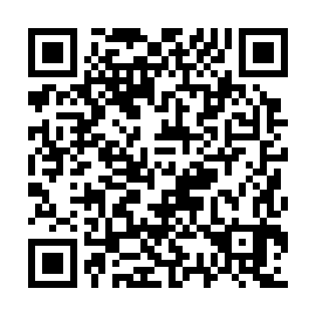 QR code for W30383