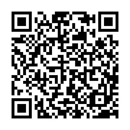 QR code for W30393