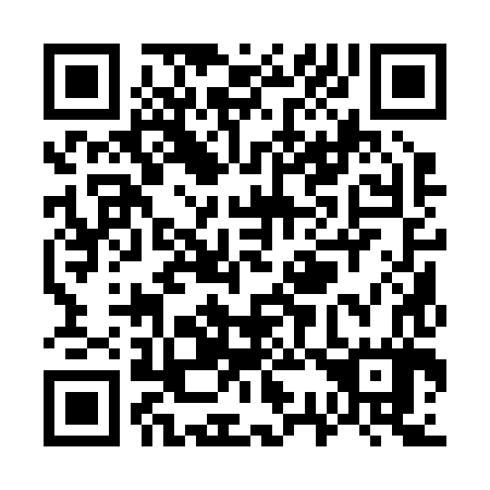 QR code for W31287