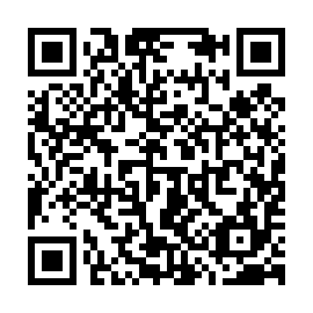 QR code for W31494